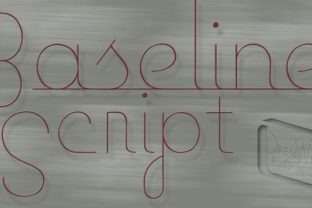 Baseline Script: A Light, Polished Script Font for Small Business Branding