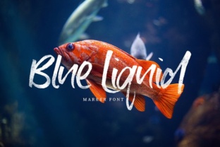 Blue Liquid: A Handcrafted Script Font for Editorial Warmth