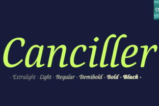 Canciller Family: A Designer’s Real-World Review
