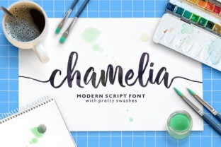Chamelia: A Handwritten Font for Thoughtful Editorial Design