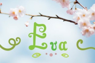 Eva Script: A Playful Hand-Drawn Font That Cuts Through the Feed