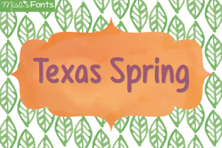 Texas Spring: A Clean Script Font for Digital Branding
